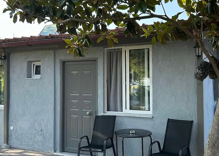 Eliza's House