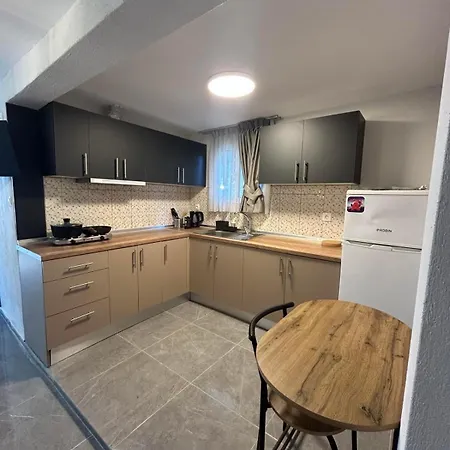 Eliza's House 소조폴리