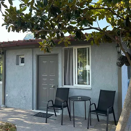 Eliza's House