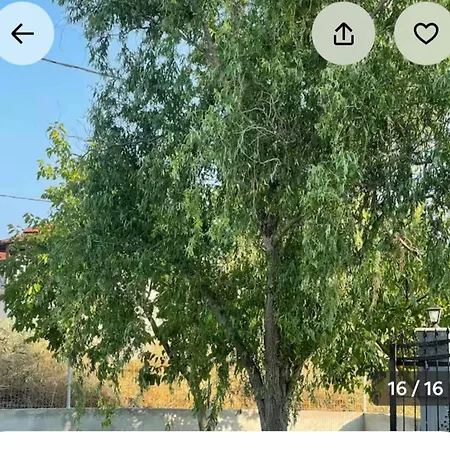 Eliza's House 펜션 *