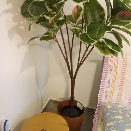 Eliza's House 度假居 *