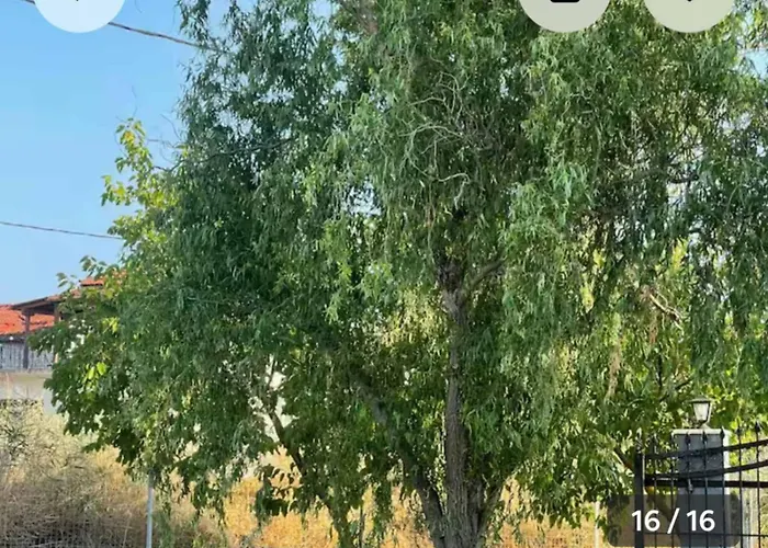 Eliza's House Vakantiehuis *